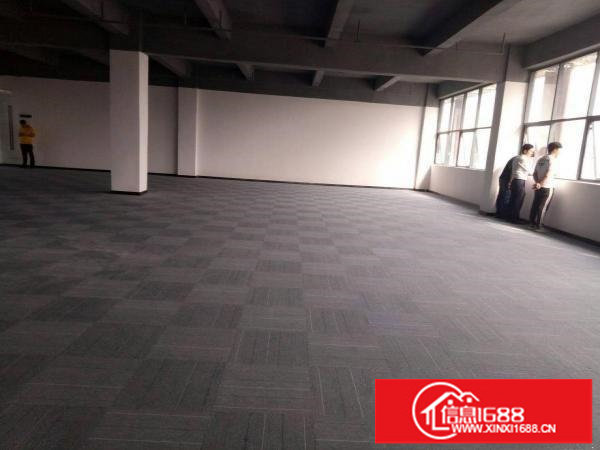 深圳龙岗区平湖新木老村独院一楼厂房招租面积800平