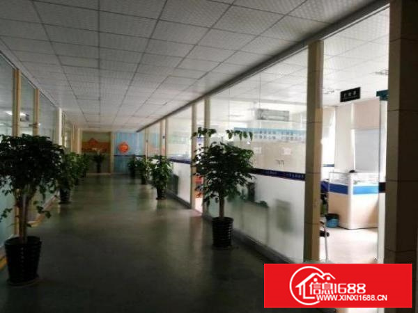 狮山标准1-4层独院厂房出租