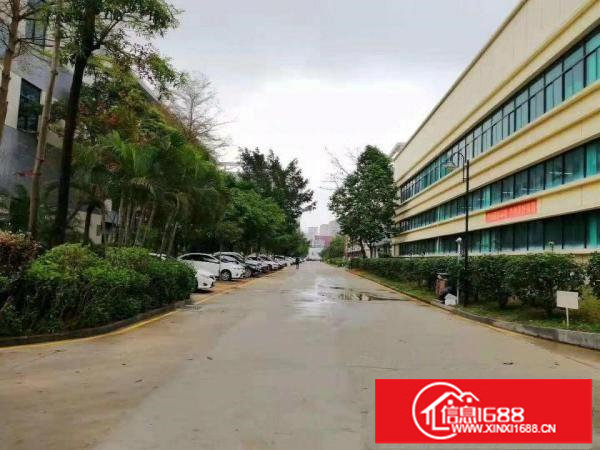 龙岗南联地铁站120到5000平方出租全部装修好