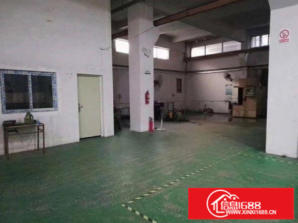 横沥村尾原房东一楼1100平方厂房出租实际面际