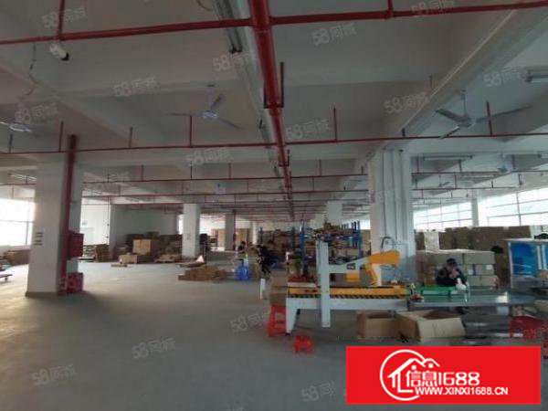 凤岗金凤凰大道边上新出楼上2700平米带消防喷淋厂房出租