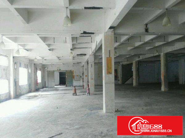 平湖平安大道标准一楼厂房1500平米空地非常大