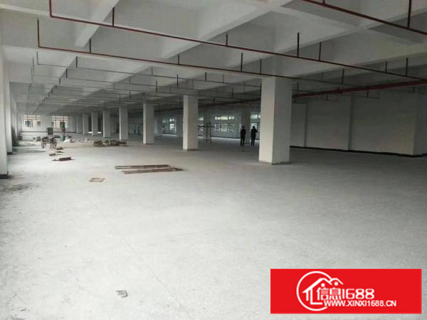 龙岗坪地新出2000平厂房出租