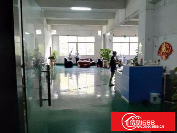 龙岗龙东独门独院500平，800平1000平，厂房出租