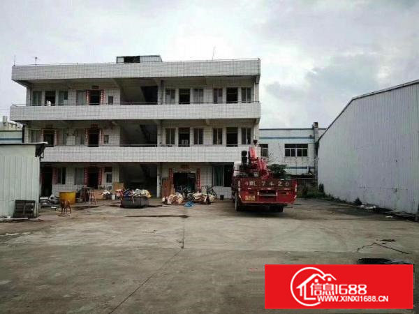 凤岗金凤凰原房东单层钢构8米高1180平方出租，适合各行业