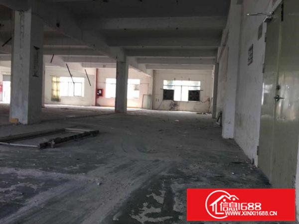 坪山新区坑梓大工业区1000平标准厂房大货梯可分租