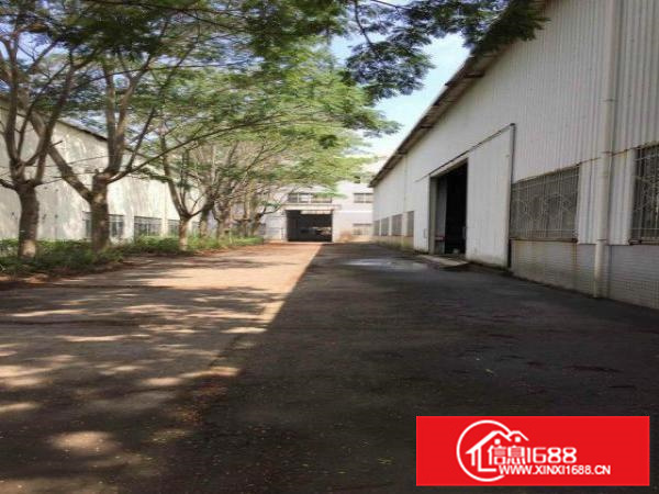 大亚湾独门独院15米高单层厂房11000平方米招租