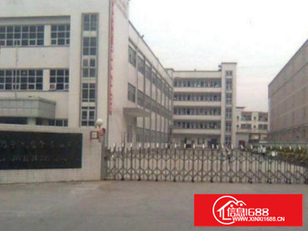 高埗1出租5001500、2000平方出租