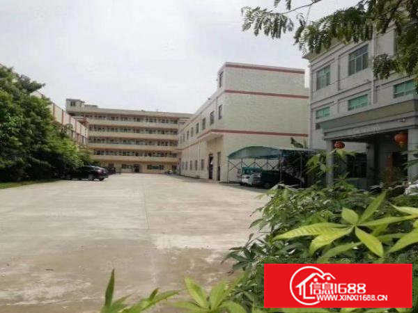 清溪原房东2楼厂房出租带装修现成办公室1208平方