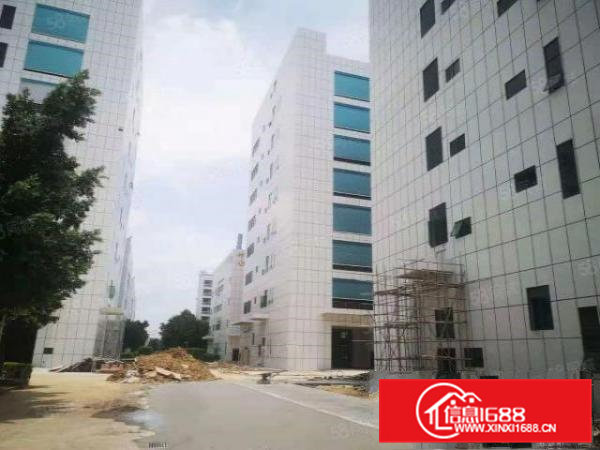 桥头镇原房东厂房出租10万平,3205平起租上市公司的!