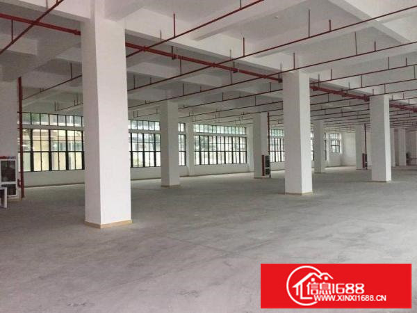 荷坳70015003000平厂房单价19元