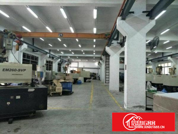 塘厦迎宾主干道旁1楼4380平方高7米带牛角可分租