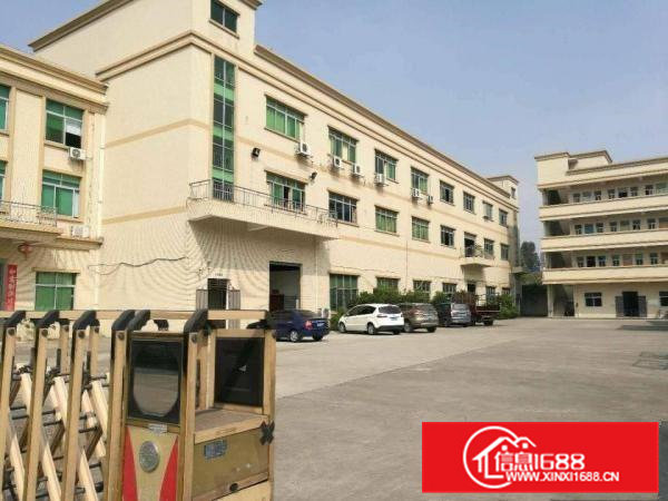 大朗原房东独院标准厂房7000平出租，地坪漆，消防喷淋，豪装