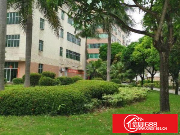 观澜工业园独院10万平精装厂房仓库出租300平起分租一楼厂房