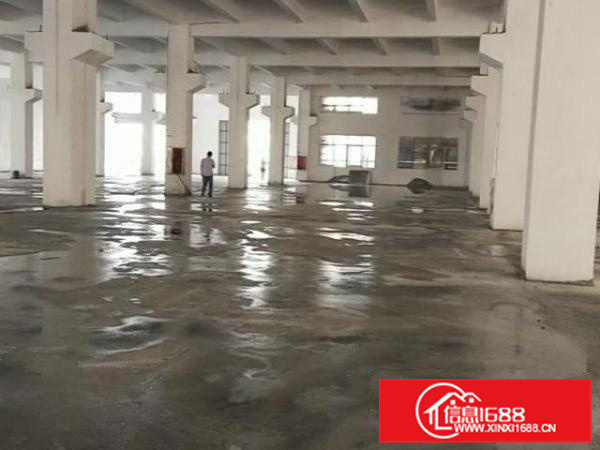 杏坛科技路独院标准厂房65800方首层7米大小分租