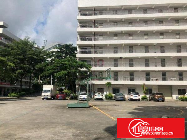 木棉湾龙岗大道旁地铁口附近厂房1000平米