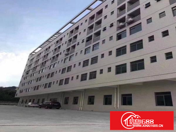 龙岗坂田独院12800原房东出租