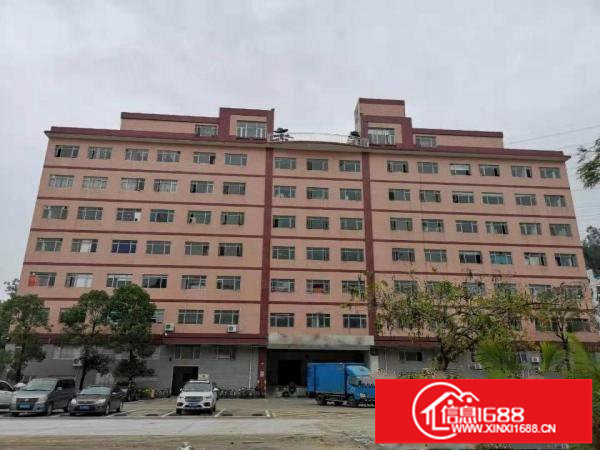 横岗一楼仓库2812平米，带卸货平台，可分租