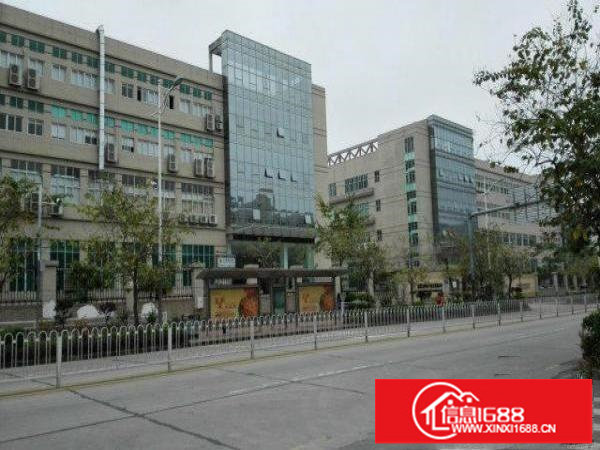 大浪服装基地新出23000平厂房火带喷淋爆红本