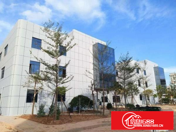 高埗工业区村委。私人独院厂房合适各种行业