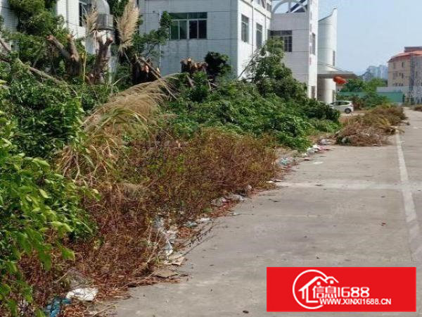 六万平米重型工业厂房,物流仓库业主直接出租可分租小面积500