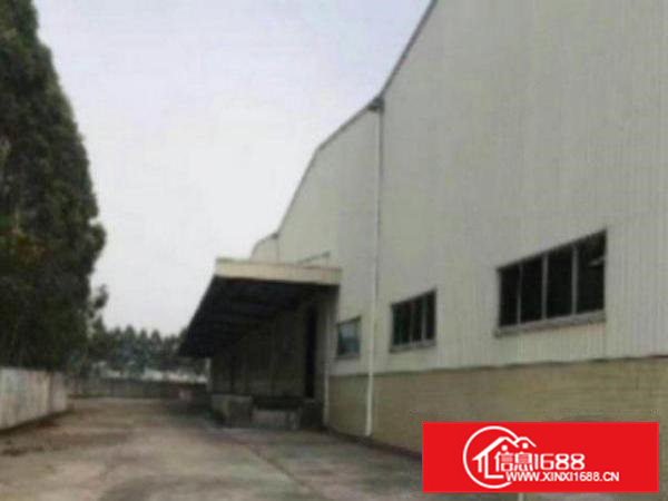 高埗单一层独院厂房招租面积2000平方