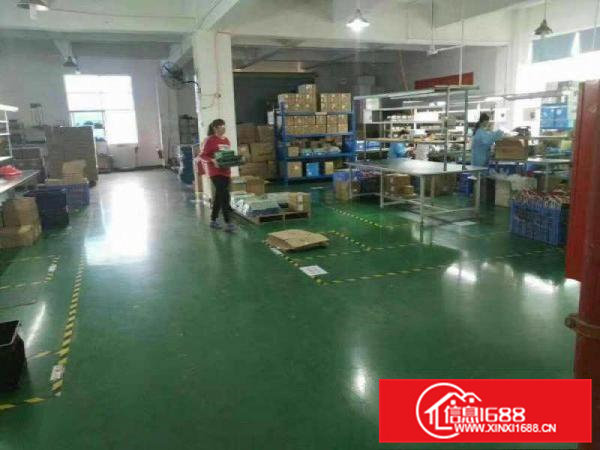 （原房东)袁山贝靠大朗三层4800平方，单一层2000平方出