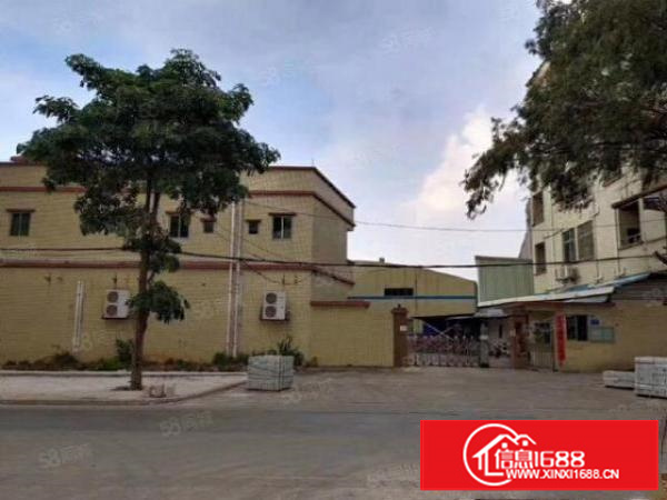 经典小独院厂房砖墙到顶单一层厂房2700平方，中间无柱子