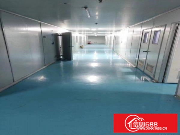 寮步镇新出无尘车间对外出租