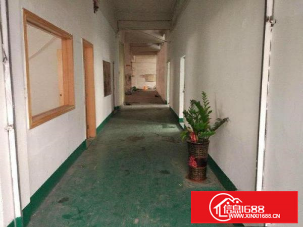 厦岗二楼600平厂房招租可办公交通便利行业不限