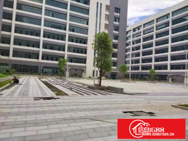 宝安松岗燕罗派出所附近全新厂房出租9600平整栋可以分租