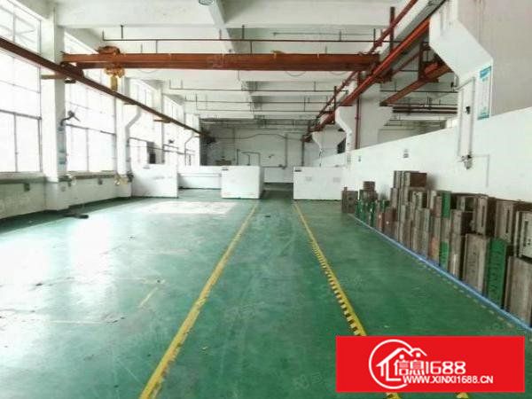 桥头镇原房东标准独院厂房一楼，带牛角，拎包就可以直接投入生产