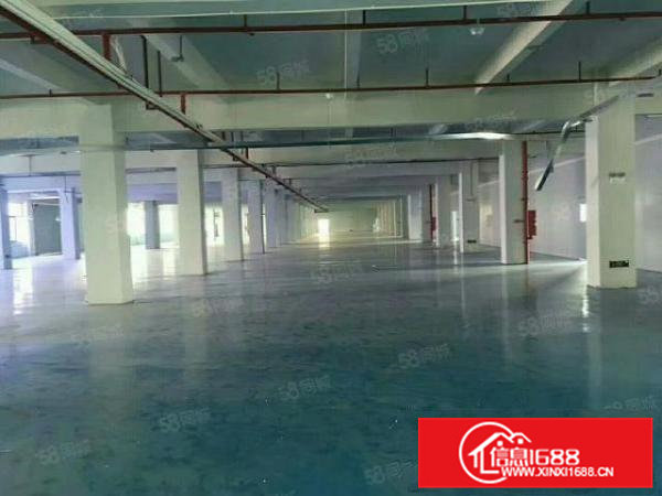 凤岗金凤凰带精装二楼5000平方厂房仓库出租