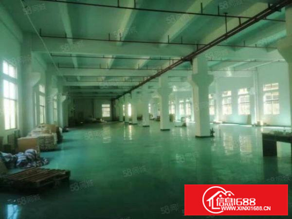 清溪新出原房东一楼1100平方带水电办公室急租