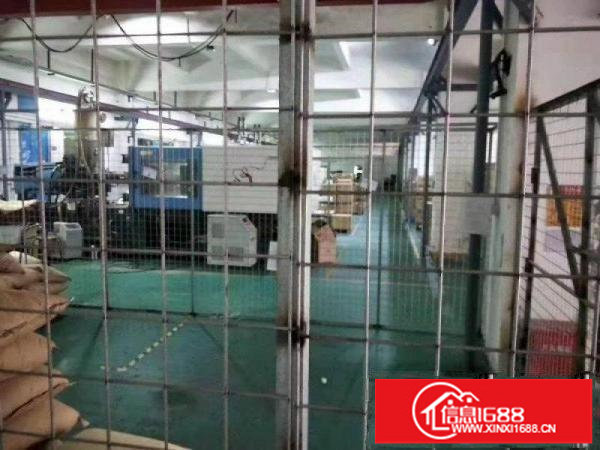 龙岗同乐原房东楼上1600平实际面积带装修厂房出租