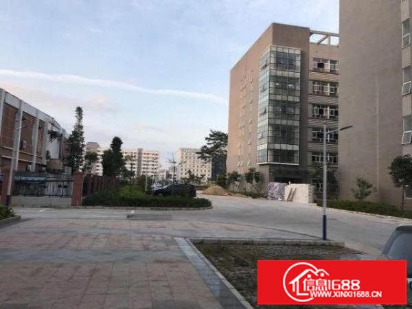 龙胜地铁附近大型工业区新出大量厂房低价招租有小面积可分租