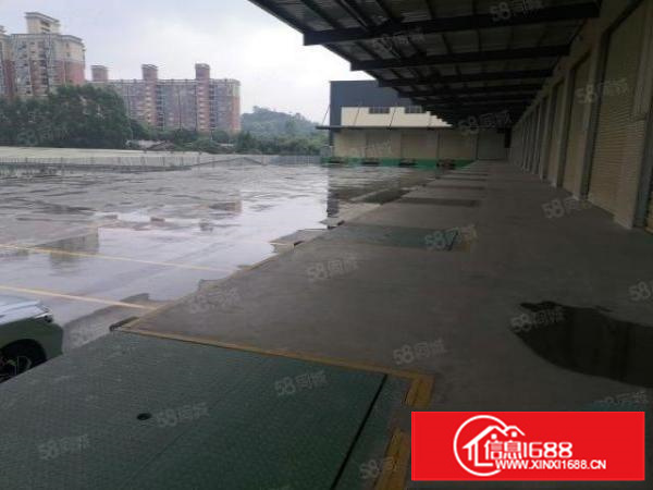 茶山镇独门独院单一层总面积48000平滴水十米带卸货平台