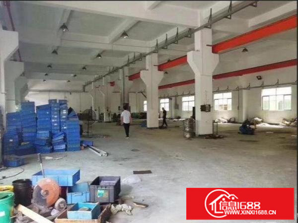 龙岗业主直租独院厂房6000平方可分租、带牛角