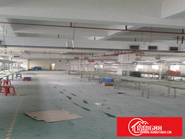 虎门镇龙眼广场附近一楼二楼每层1100平米厂房出租