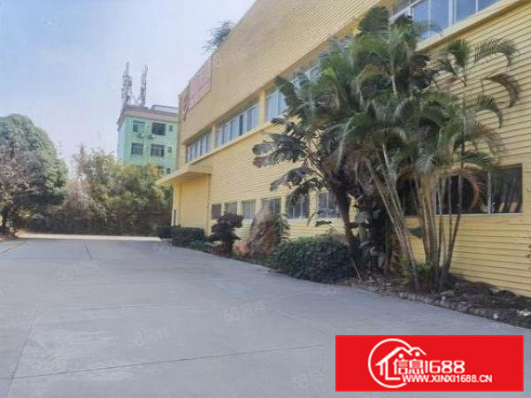 虎门新出独门独院标准厂房一楼5.5米