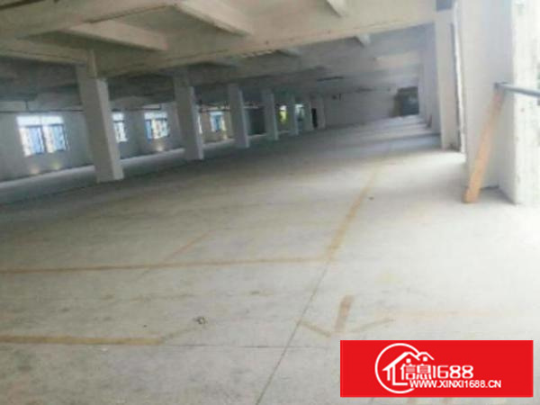 万江独院标准厂房一楼2000平方出租工业用地可办环评