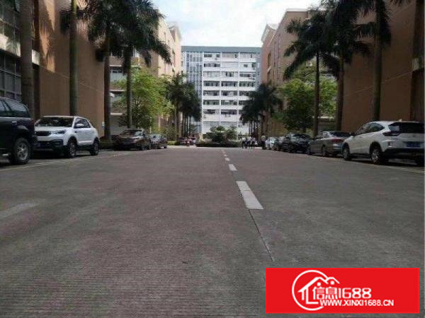 龙岗同乐办公楼800平米大小分租有装修