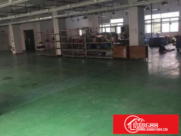 龙岗五联新出独院滴水九米1000平