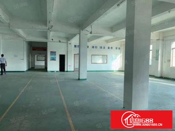 精装修2楼1000平方