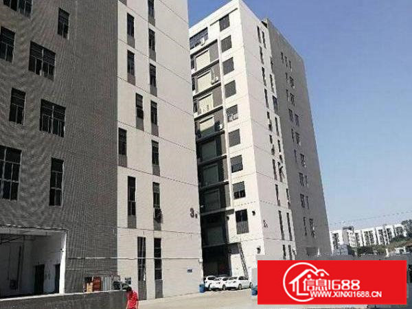 坂田新出原房东楼上800平米带装修厂房出租，无公摊，价格实惠