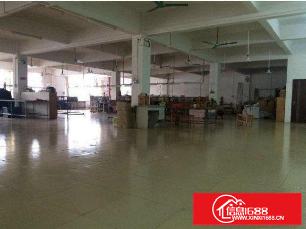 东坑标准厂房楼上800平形象好招租