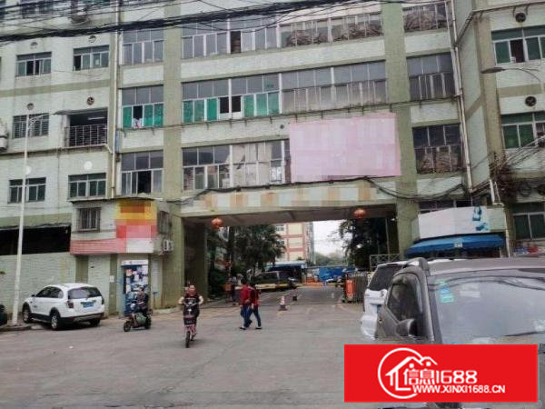 中坑标准厂房二楼950平可办环评可分租，交通方便