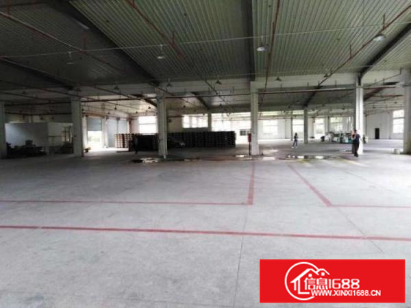 博罗单一层精装修办公室5000平标准厂房一楼带宿舍楼可分租