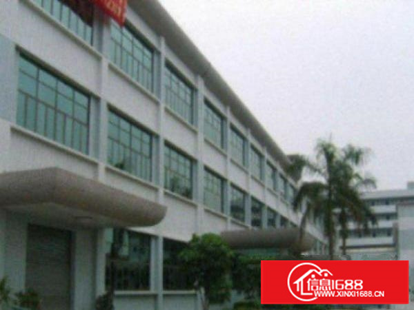 万江现出标准厂房1000平方左右带办公室装修有办公室装修，可