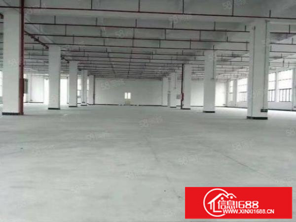 松岗原房东厂房直租，3万平米独门独院，形象很好交通方便